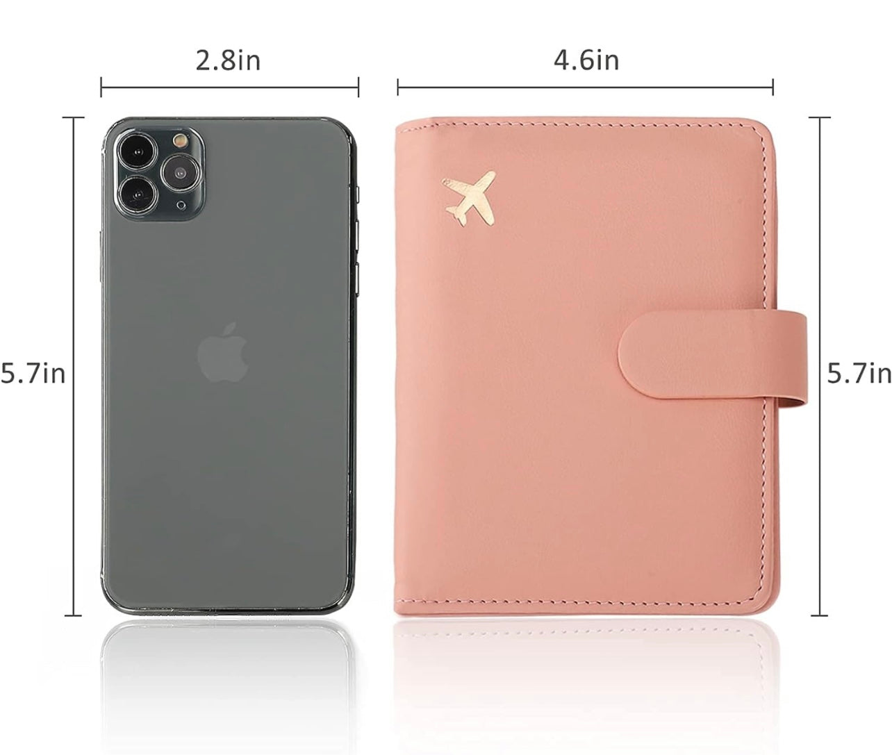 Passport Bag/Case