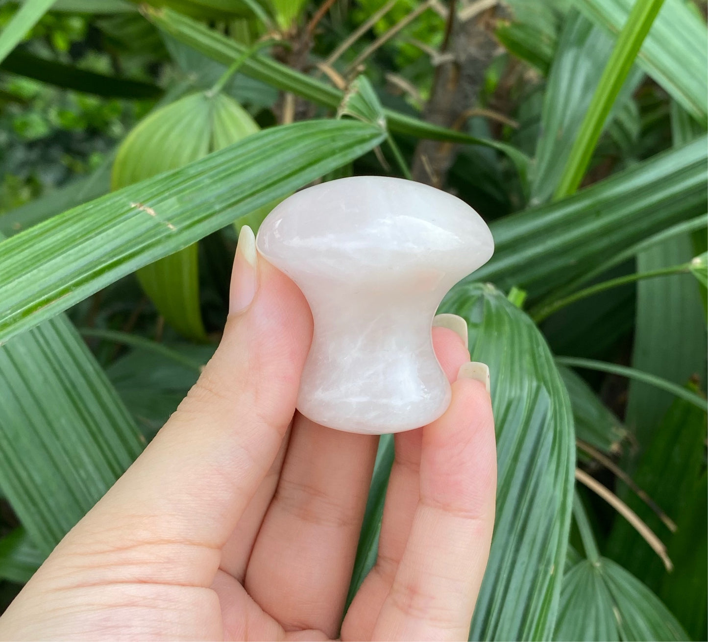 Rose Quartz Mushroom Lifting/tightening stone